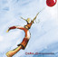 Atrapasueños cover