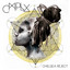 CMPLX cover