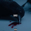 Bird cover