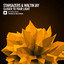 Closer To Your Light - Extended Mix