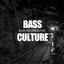 Bass Culture cover
