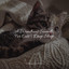 A Wondrous Sounds For Cats | Deep Sleep cover