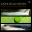Grilli di una notte d'estate e Wind Bells - Rumori della natura in estate cover