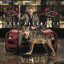 Virus cover