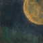 Jenny Kerr - The Girl Who Swallowed the Moon