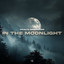 In The Moonlight