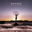 Volver cover
