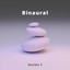 Binaural, Ritmos Binaurales Para Dormir Profundo Sesión 1 cover