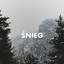 Śnieg cover