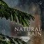 Natural Rain cover