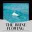 The Brine Flowing cover