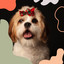 Sleeping Pup - Number One cover