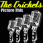 Picture This cover