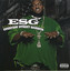 Everyday Street Gangsta cover