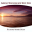 Relaxing Nature Ocean Ambience Meditation with White Noise, Loopable cover