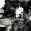 Jardin des fleurs