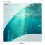 Abyss cover