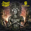 Segnali di fumo cover