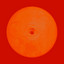 XXV INFRARED cover