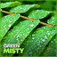 Green Misty cover