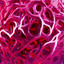 BPD cover