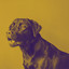 Suave Ambiance for Doggies cover