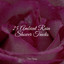 25 Ambient Rain Shower Tracks cover