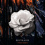 Thin Skies cover