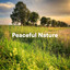 Peaceful Nature cover