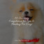 50 Soothing Compilation for Spa & Healing For Dogs cover
