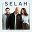 He Will Hold Me Fast - Selah