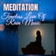 Meditation: Timeless Love Of Rain Music cover