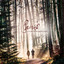 L'espoir Du Soleil Levant cover