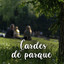 Cambio De Piel cover