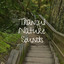 Tranquil Nature Sounds cover