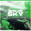 Birds In The Sky - Sam Green Remix