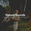 #01 Nature Sounds for Improving Mind, Mental Clarity and Promote Emotional Regulation cover