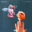 Baladas Platino 4 - Rosa