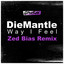 Way I Feel - Zed Bias Remix
