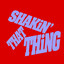 Shakin' That Thing - Extended Mix