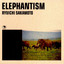 Elephant Dance cover