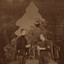 WUNDERBAUM cover