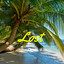 Lost cover