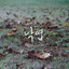 Unknown Title cover