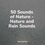 50 Sounds of Nature - Nature and Rain Sounds cover