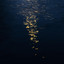 Lofin - Shallows