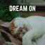 Dream On cover