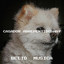 Unknown Title cover