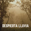Despierta Lluvia cover