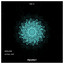 Astral Ship